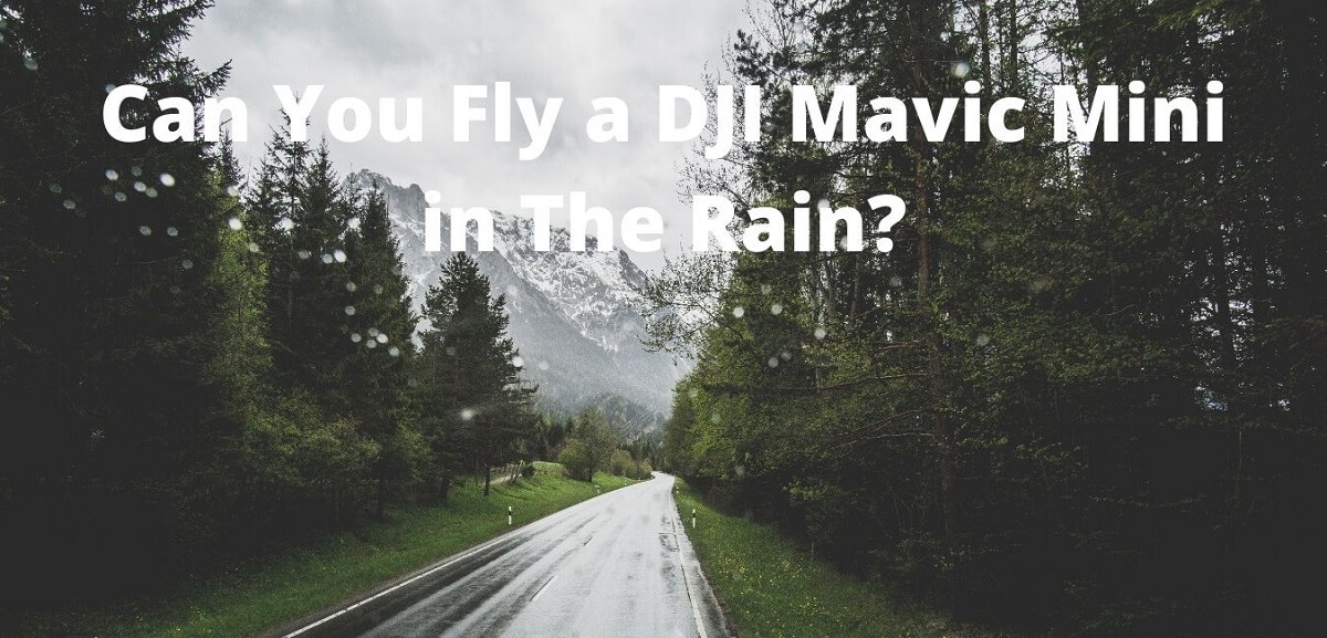 ukendt Indsprøjtning Kosciuszko Can You Fly a DJI Mavic Mini In The Rain? - Mad Droner