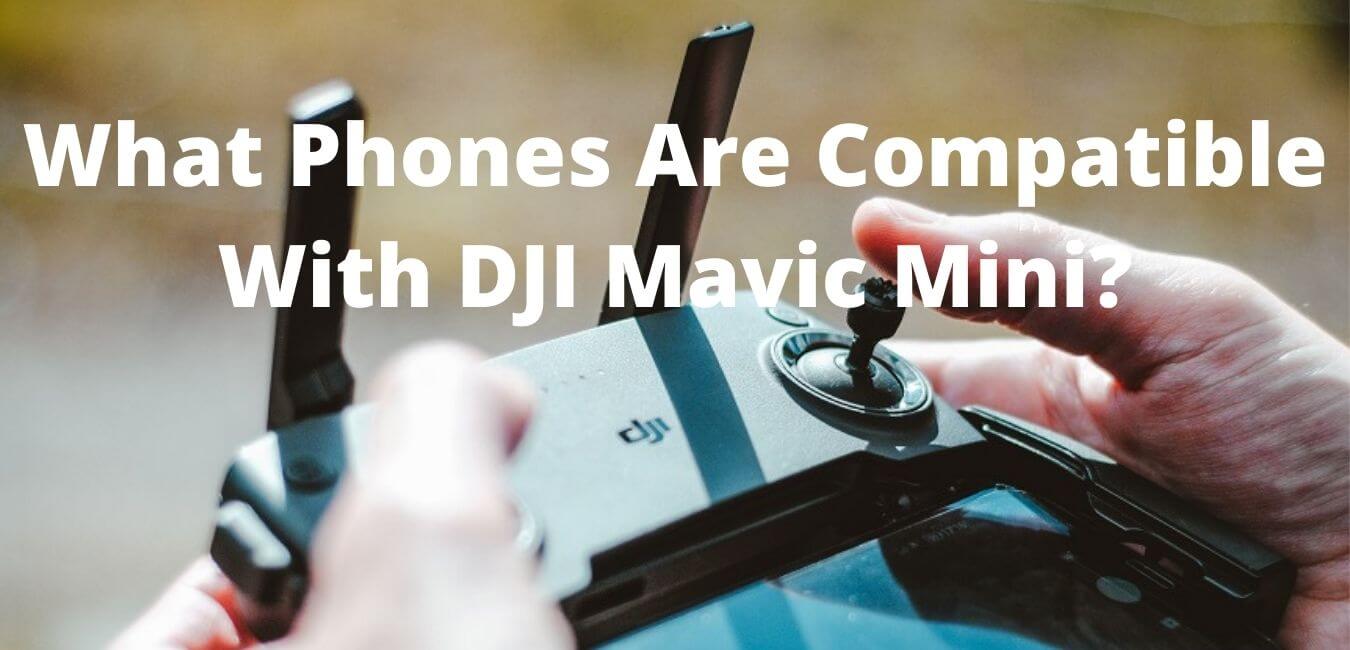 What Phones Are Compatible With DJI Mavic Mini